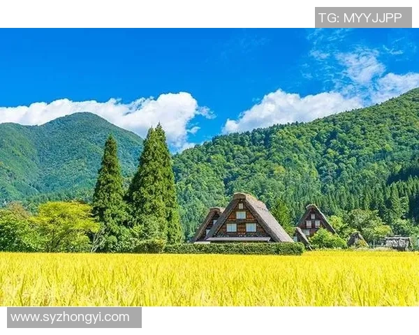 探秘云岫峰洞穴探险之旅揭开桃源深处的神秘面纱 探秘云岫峰洞穴探险之旅揭开桃源深处的神秘面纱